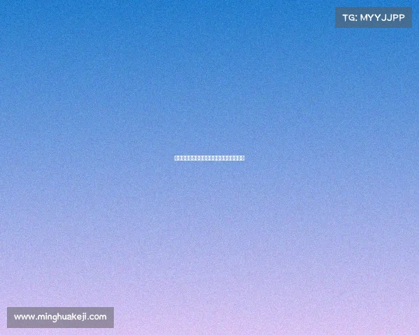 蜘蛛巧妙收网背后隐藏的生存智慧与生态意义