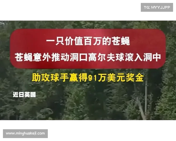 苍蝇意外助力高尔夫球手打破纪录赢得91万美元奖金