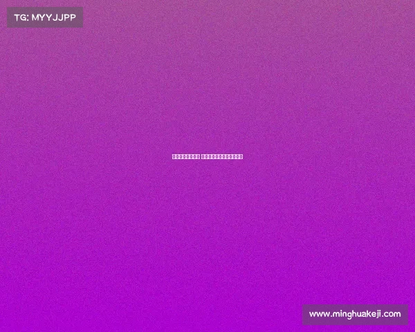 德甲边锋闪耀赛场 聚焦未来之星的崛起与挑战