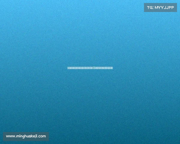 巴勒莫队长布鲁诺里谈曼城球员最欣赏B席并称因扎吉带来显著变化