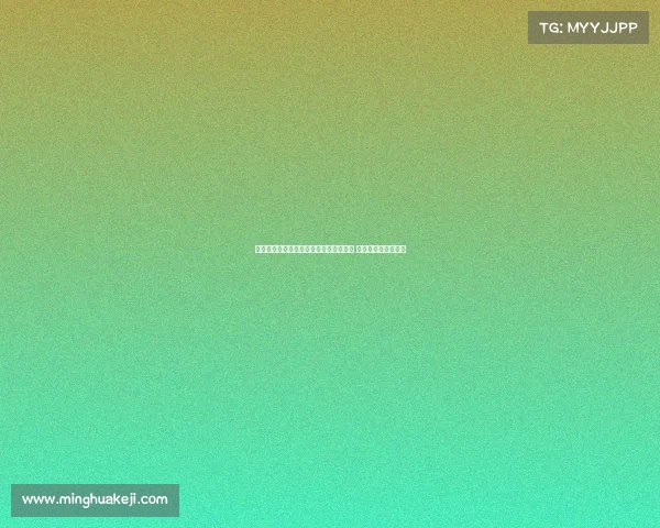 维特塞尔即将与西甲赫罗纳签下两年合同 强势加盟助力新赛季